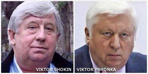 shokin-pshonka2